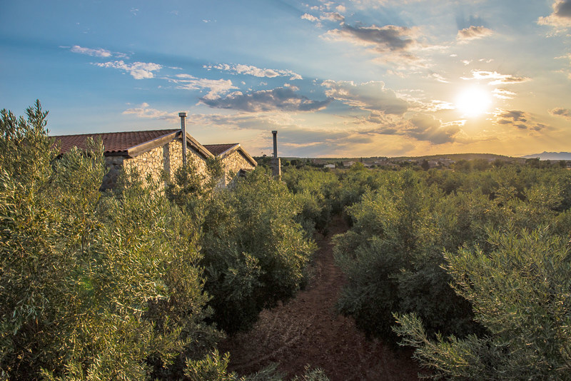 Die Finca im Abendlicht Ein abendlicher Blick über die Finca nach Westen zum Sonnenuntergang